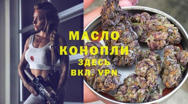 молекула духа Тайга